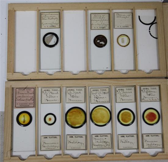 Two cases of late 19th/early 20th century microscope slides,